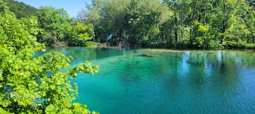 Ein stiller türkiser Wasserlauf, dicht umgeben von frischem grünem Laub und Bäumen
