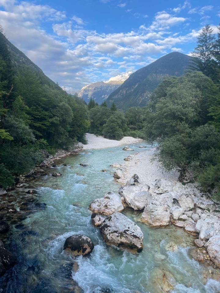 Ein türkiser Gebirgsfluss, der sich durch ein bewaldetes Tal auf ferne Berge zubewegt